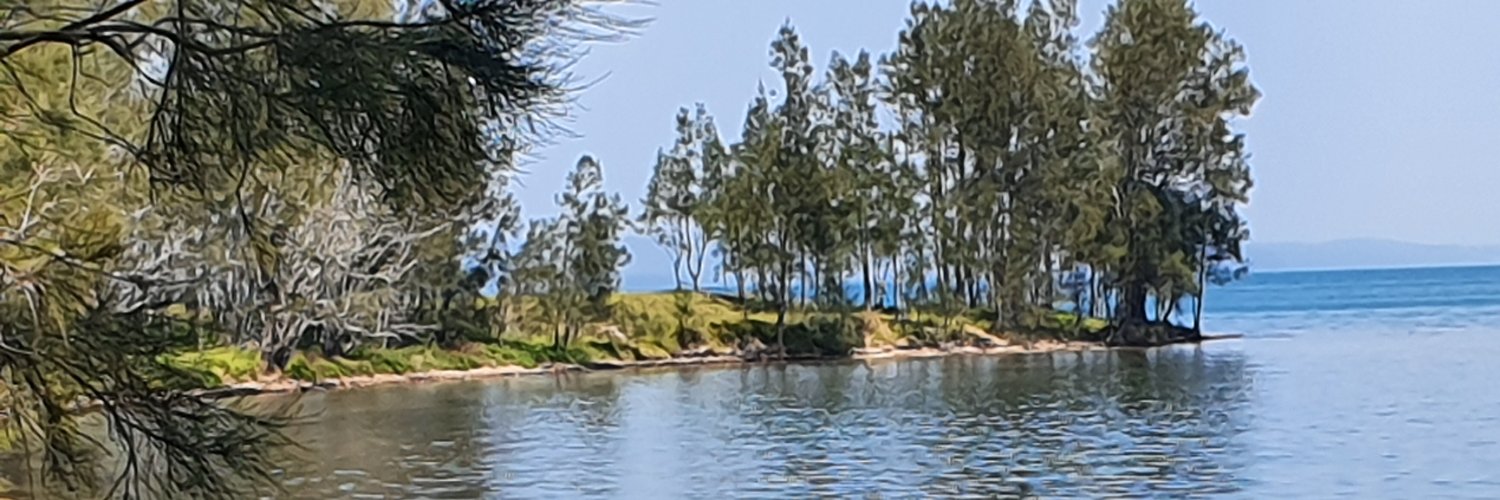 wintonbates's profile banner image