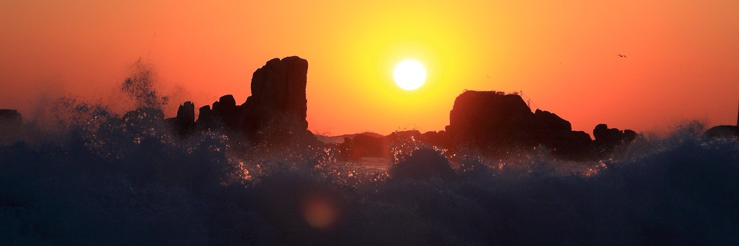 sunTree0705's profile banner image