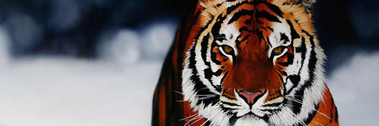 tiger_yang2's profile banner image