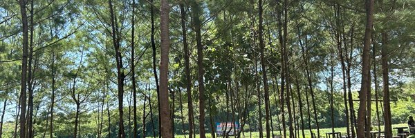 alindriyanto Profile Banner