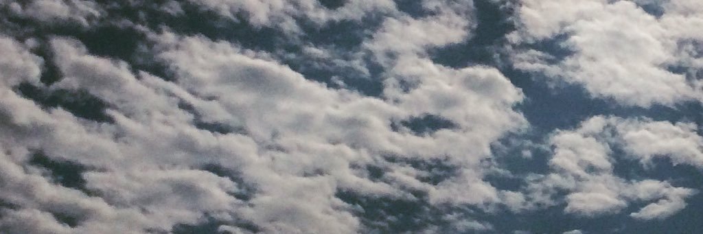 mncraig7's profile banner image