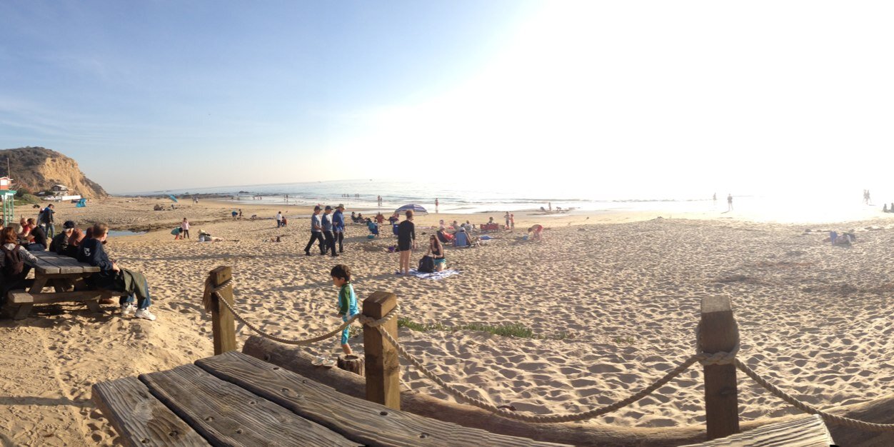 Cathy Bardenstein banner