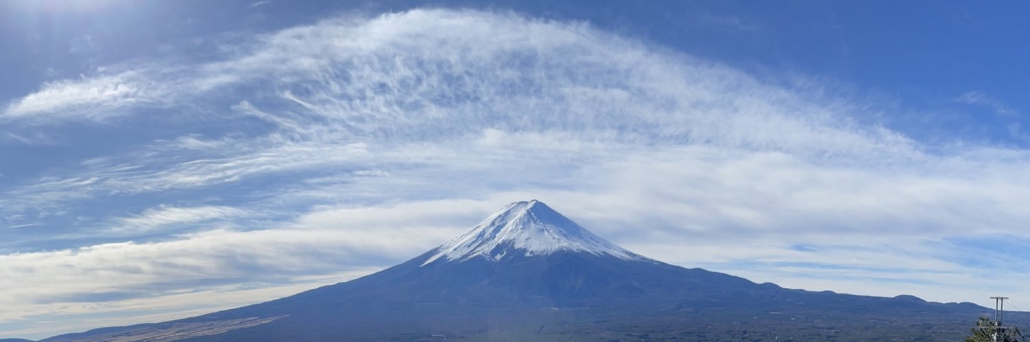 yleimm's profile banner image