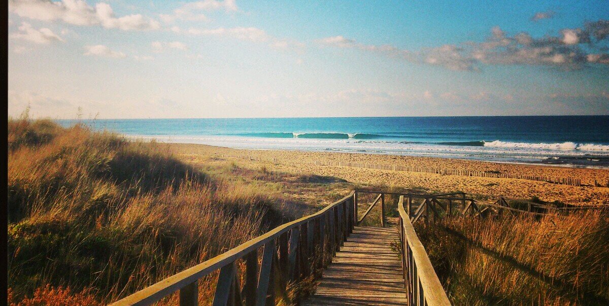 surfconil's profile banner image