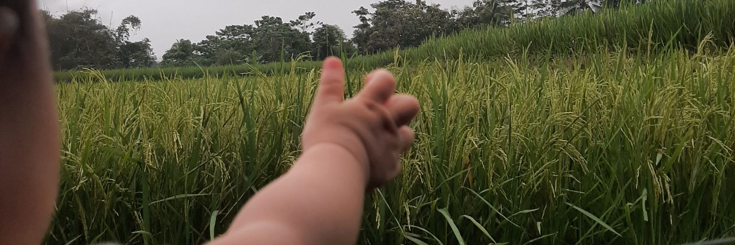 rikhajeng's profile banner image
