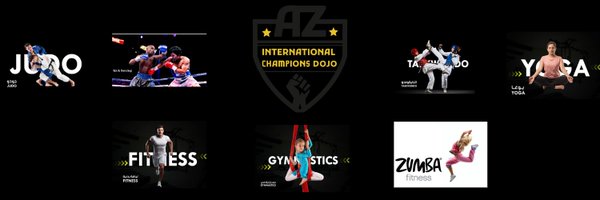 International Champions Dojo Profile Banner