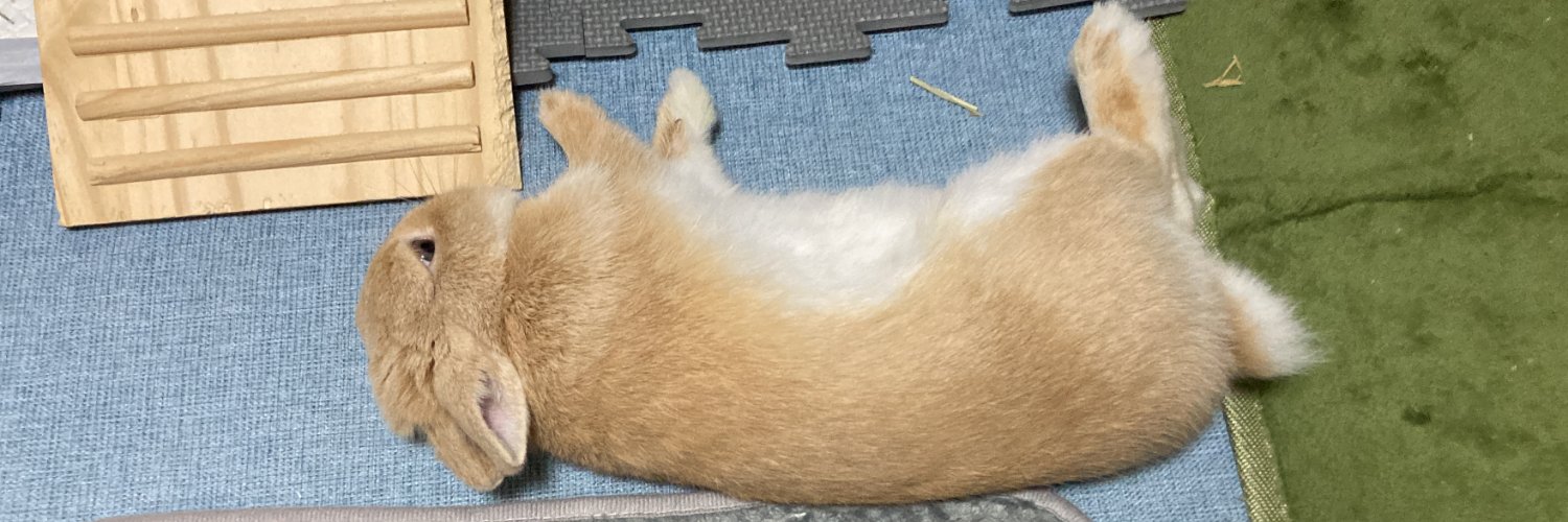 ぺこまる@モナカ banner