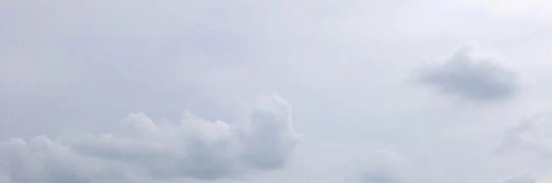 hubert banner
