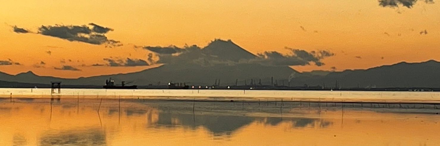 biold's profile banner image
