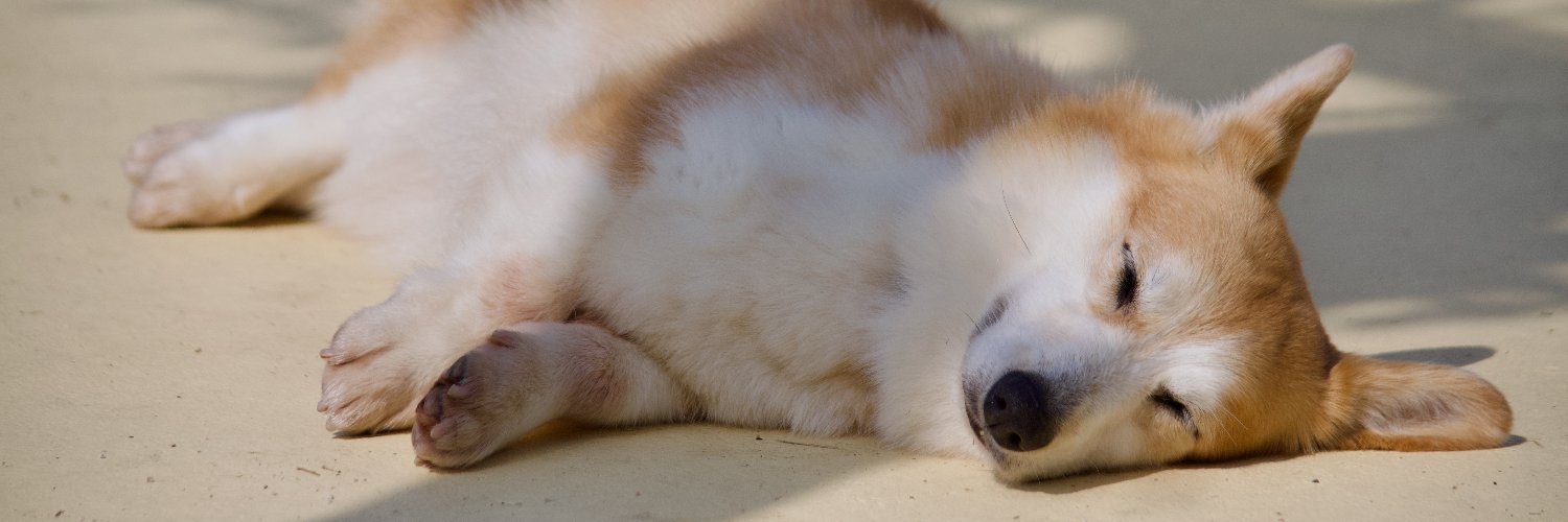 cocomoyoco's profile banner image