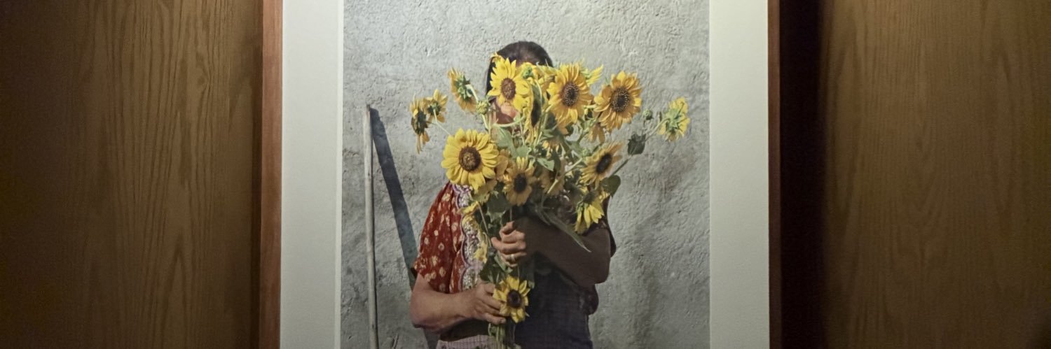 danielplomero's profile banner image