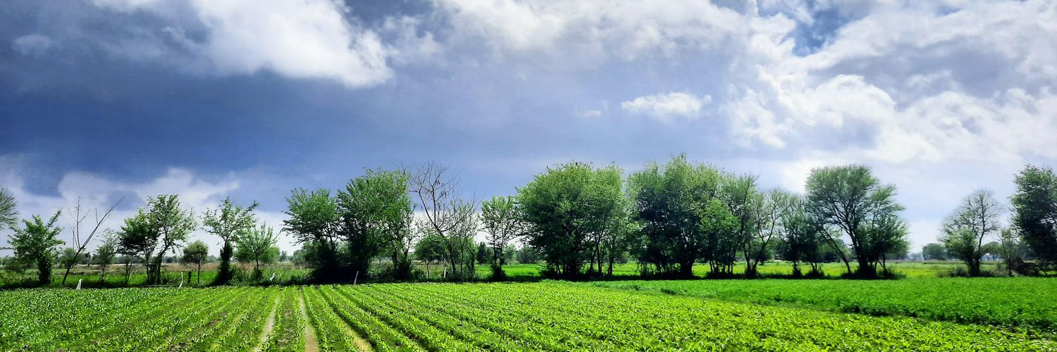 tauseef_akram1's profile banner image