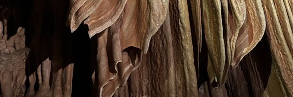 silverfury67984 Profile Banner