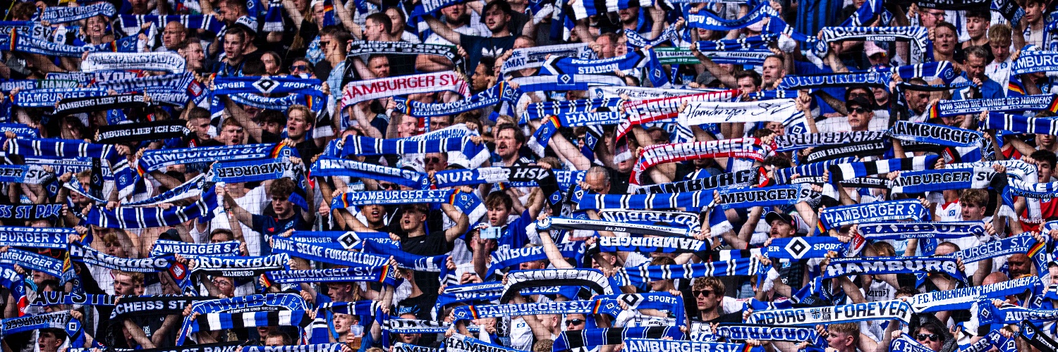 Hamburger SV banner