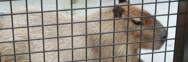 あねっくす banner