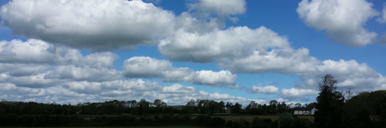 Michele Martell banner