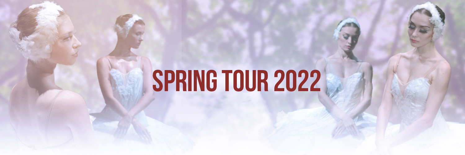 Ballet de Moscu banner