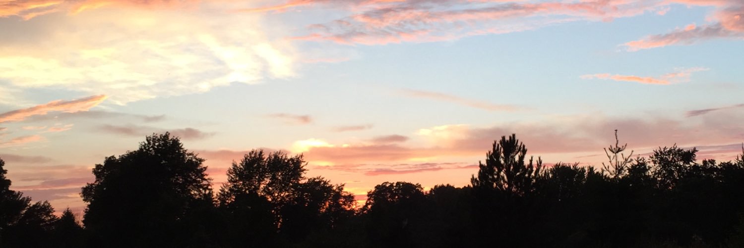 TheBigCatfish's profile banner image