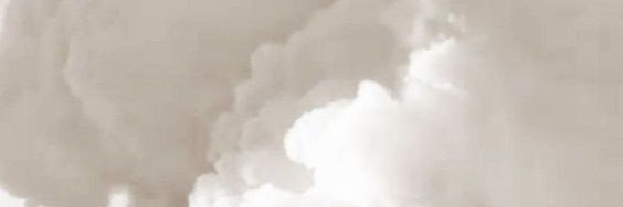 ♡BerryCals♡ banner