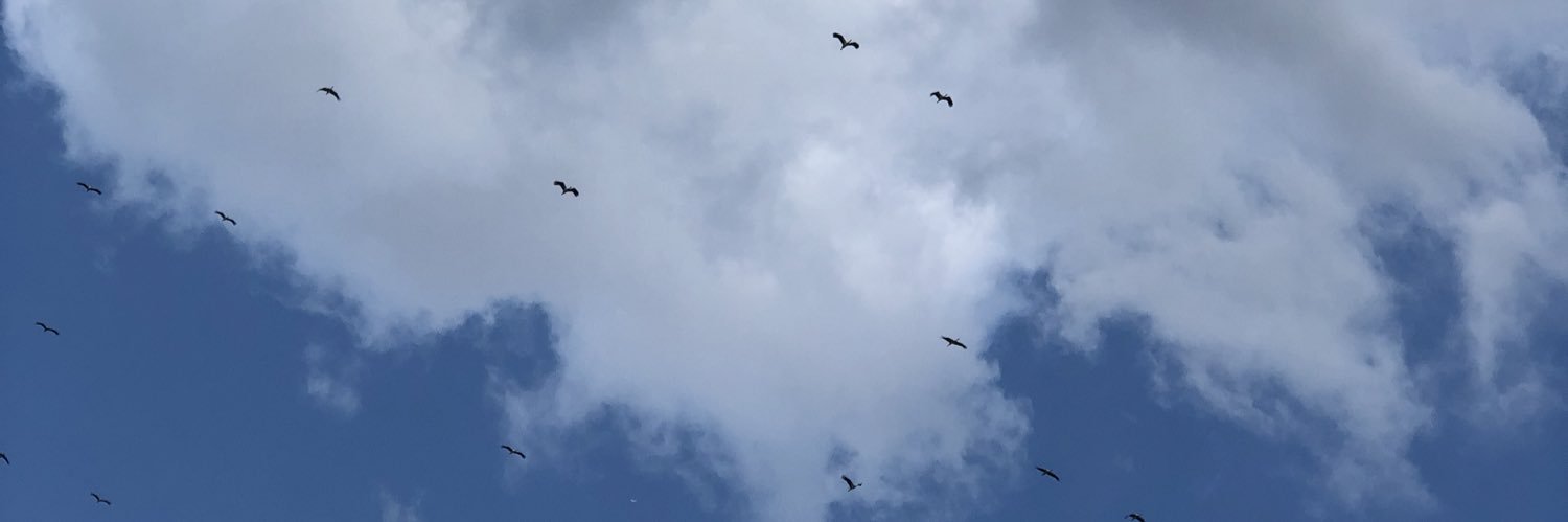 dydem_d's profile banner image