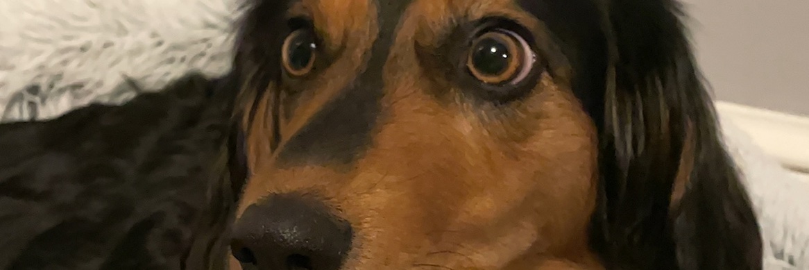 KyleGri86257589's profile banner image