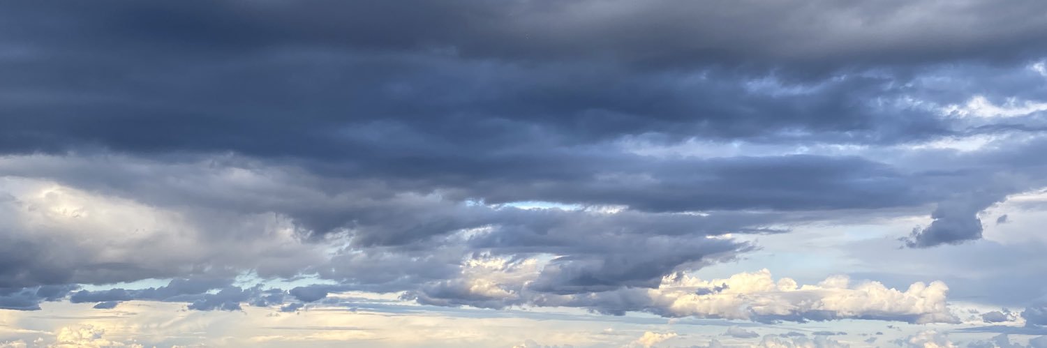 Zara banner