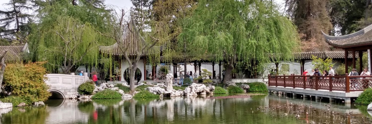 Musicalina 🎶😺👻🇺🇦🌻 banner