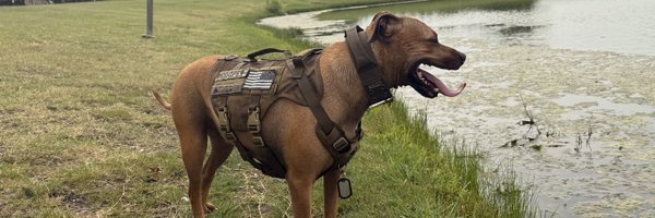 SisterSnak Profile Banner