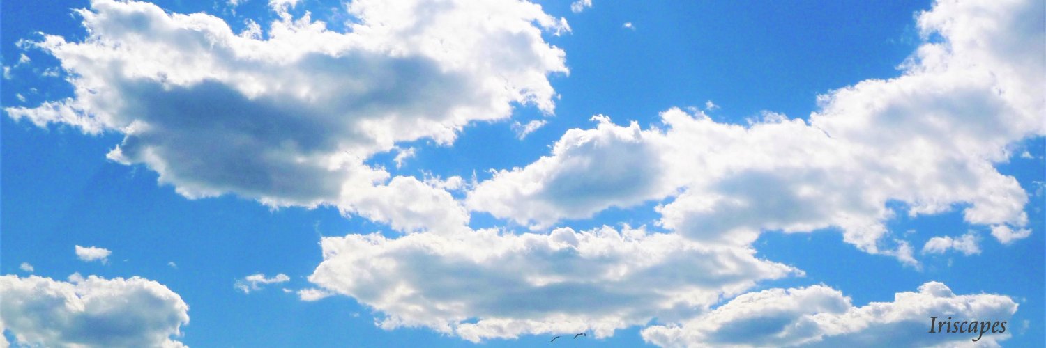 𝐈𝐫𝐢𝐬 banner