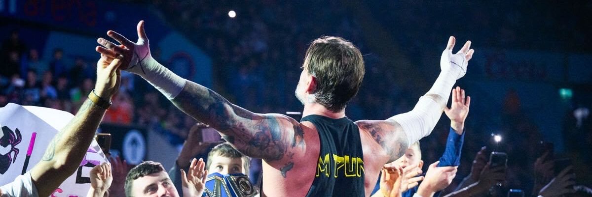 DailyCMPunk's profile banner image