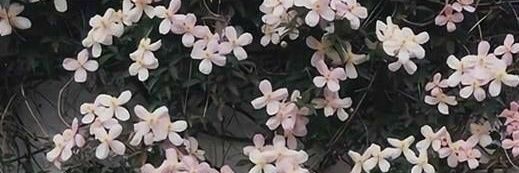 محدث banner