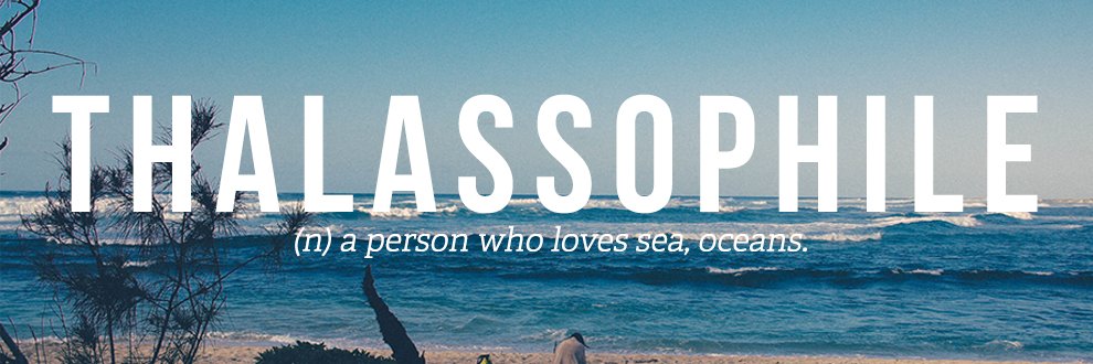 ninseaa's profile banner image