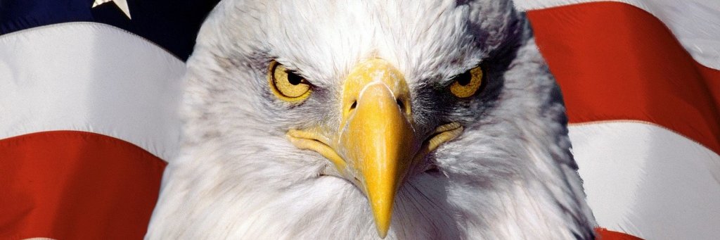 Strongbox4838's profile banner image