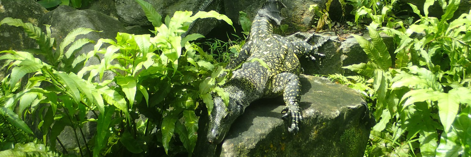 Low IQ Creature banner