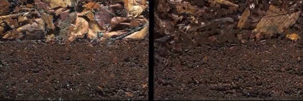 1_earth Profile Banner