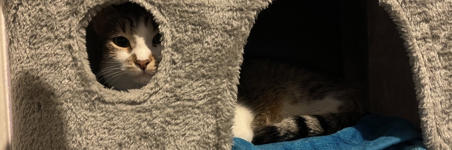 Ginaa_26's profile banner image