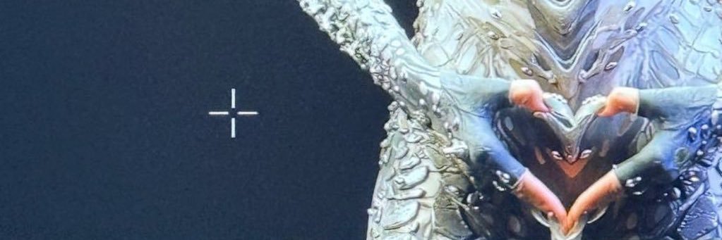 𝑡𝑟𝑖𝑛𝑎ⱽⁱˣⁱ's banner