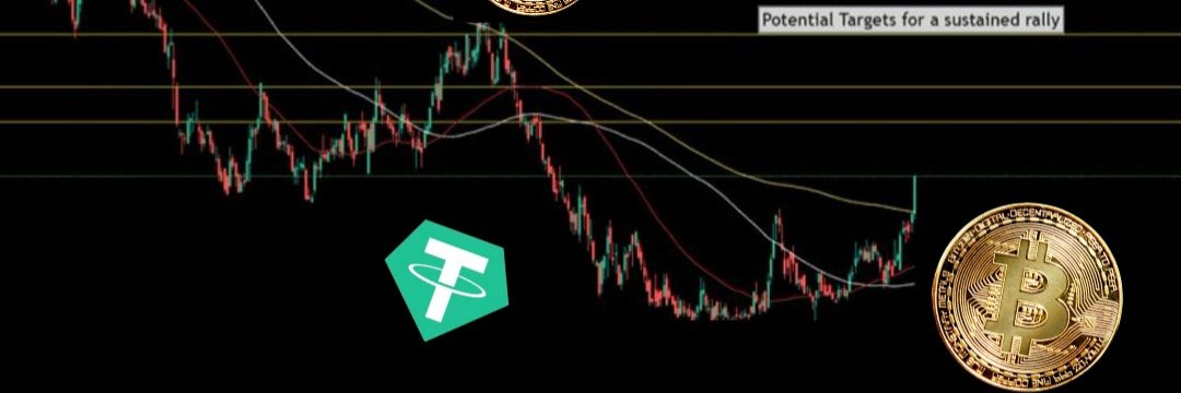 WillMakeYouBillionaire❤️ banner