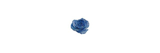 lynaria96_'s profile banner image