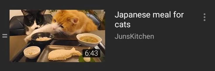 sha—more :⁠-⁠\ banner