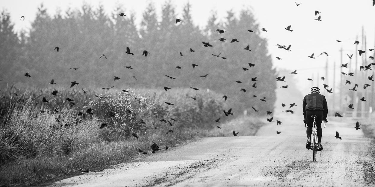 Geert Weening banner
