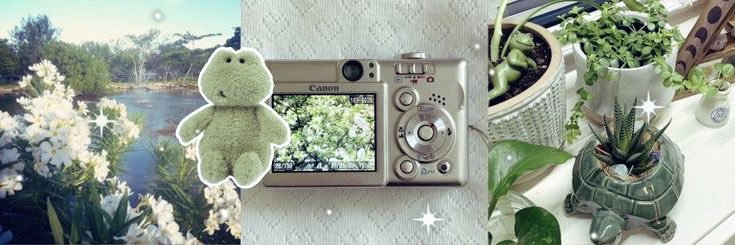❥ lynn .ᐟ 🍵 banner