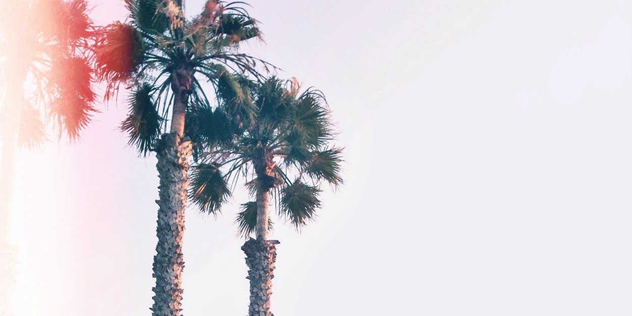 whitneydarling's profile banner image