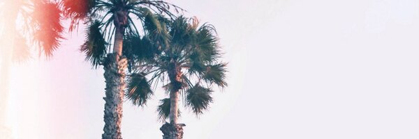 whitneydarling Profile Banner