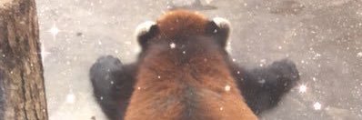 わいちャん banner