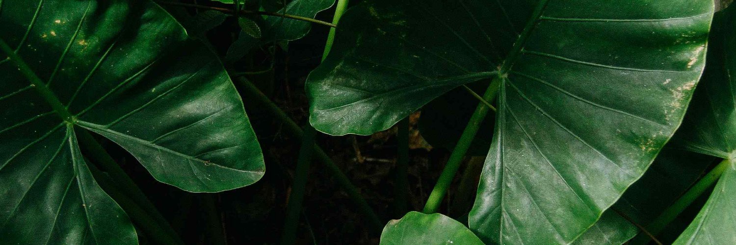 JamieGarcis1007's profile banner image