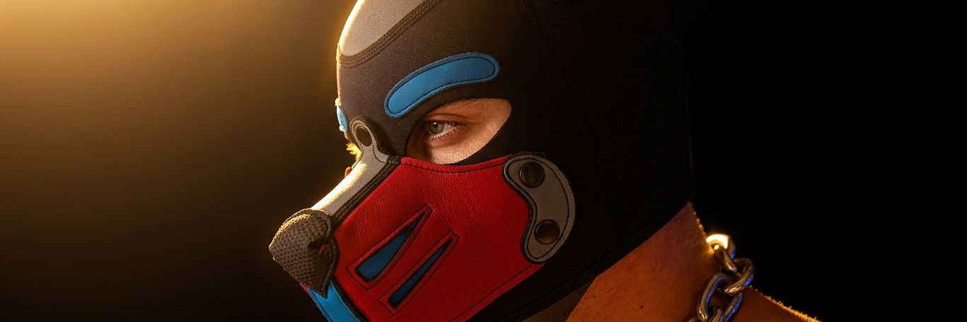 Twitter banner for @MidoPuppy