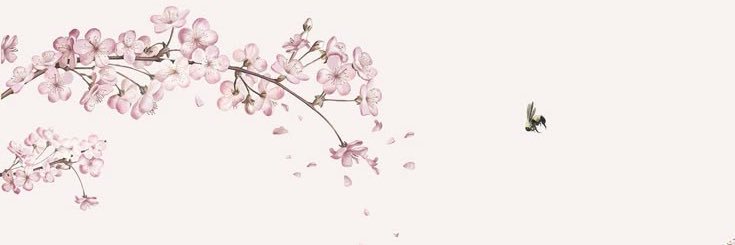Amelia ♡'s banner