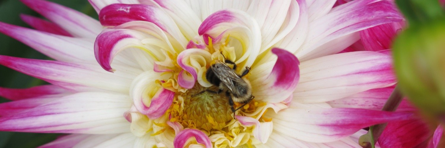 gardenmedia's profile banner image