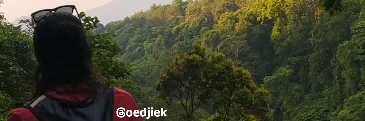 radenujik22's profile banner image